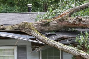 tree-fallen-on-house