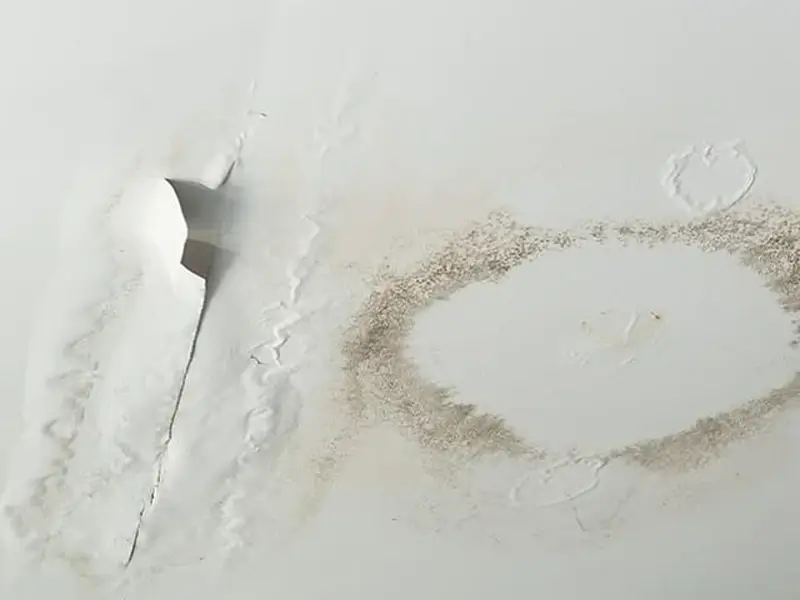 mold-damaged-drywall