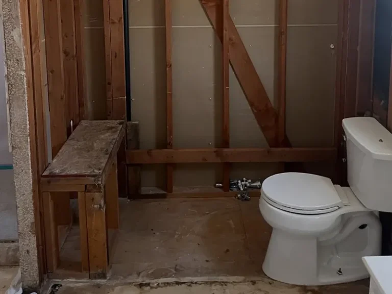 Partially demolished bathroom with exposed framing and a toilet.